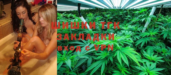 apvp Богданович