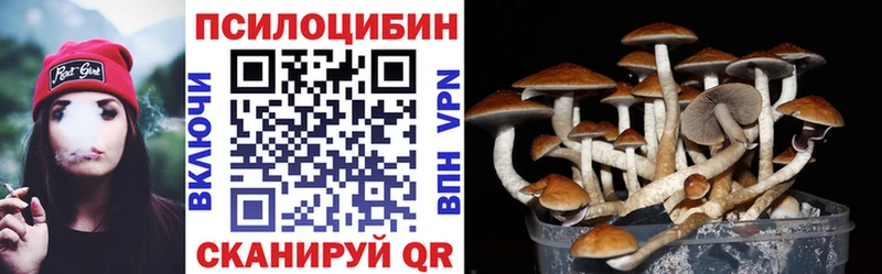 наркошоп  Навашино  Псилоцибиновые грибы GOLDEN TEACHER 